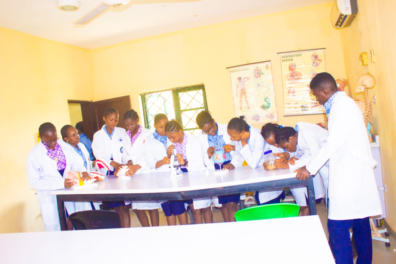 STEM Bootcamp
